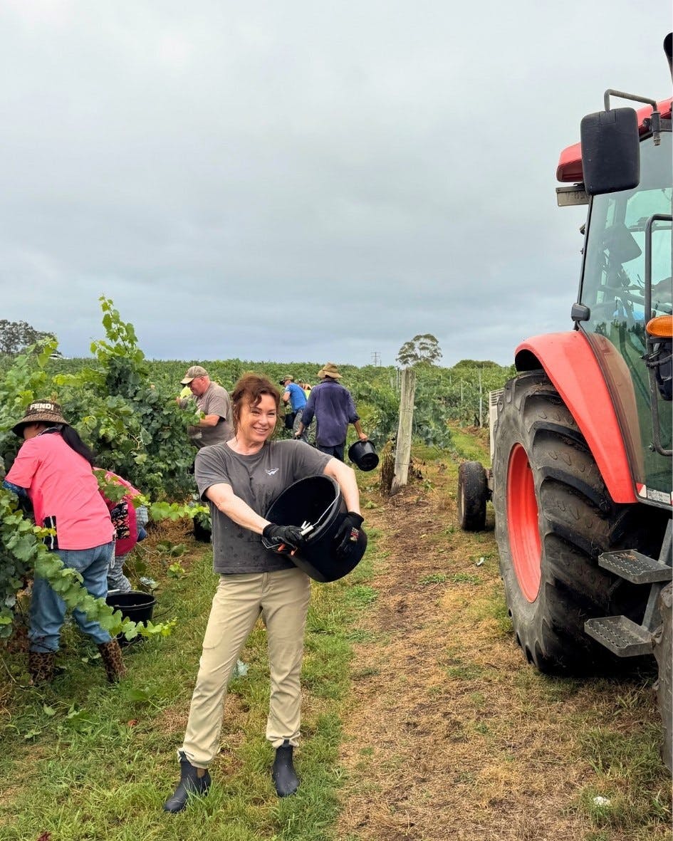 Lisa Margan Picking Margan Semillon 1