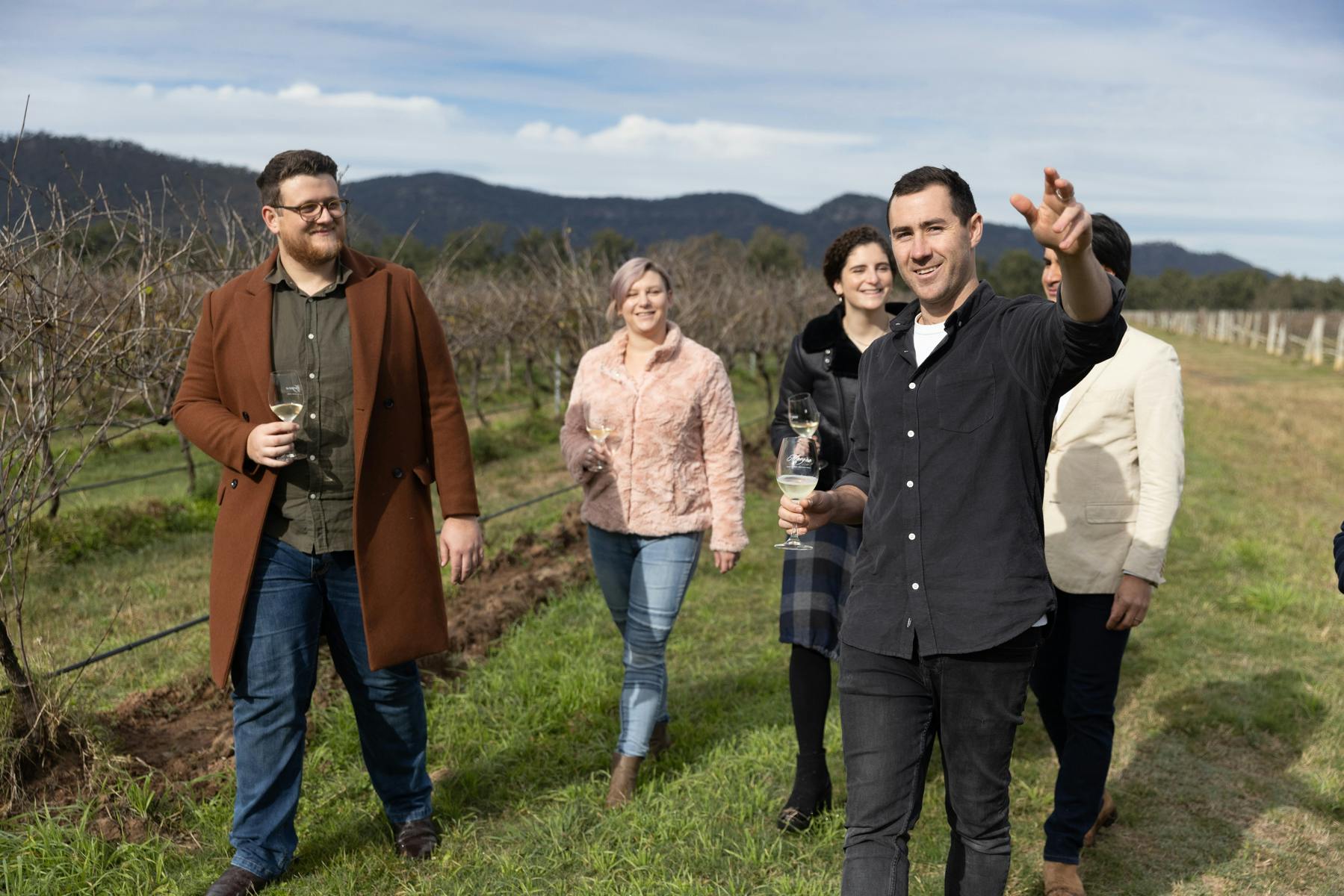 ollie ultimate experience vineyard