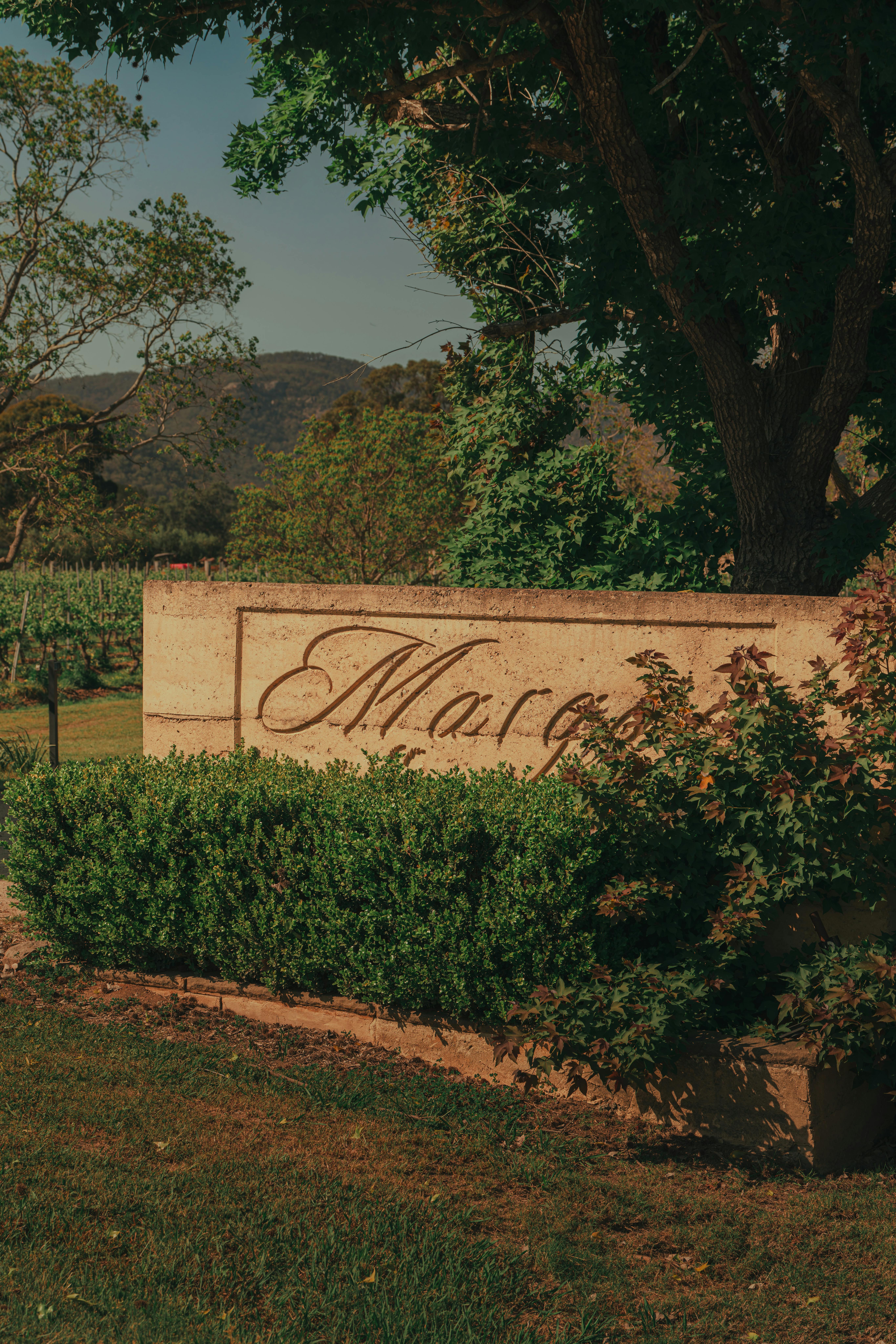 Front gate with bush