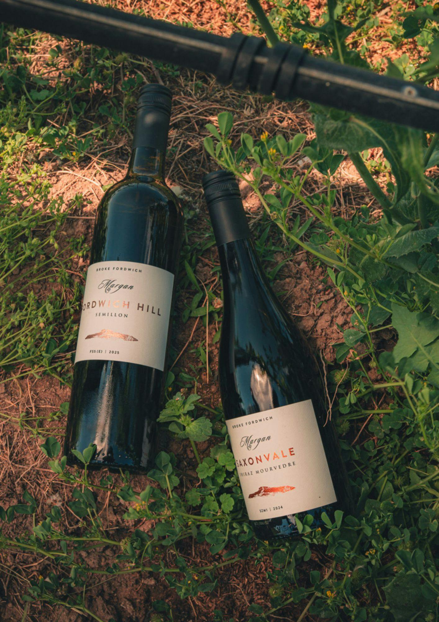 WEBSITE WINE BOTTLES 2